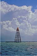 You can see an enlarged version of this picture by clicking here.