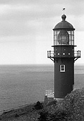 You can see an enlarged version of this picture by clicking here.
